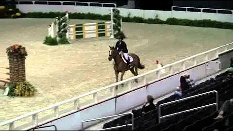 Video of PEACE ridden by VICKI LOWELL from ShowNet!