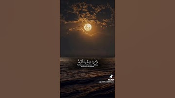 ماتيسر من الذكر الحكيم تلاوة خاشعة مؤثرة