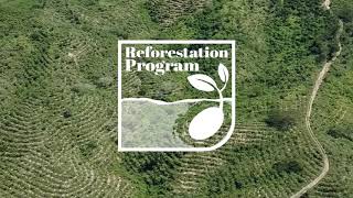 Reforestation Program IFD México