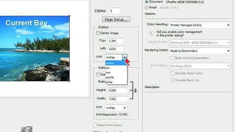 Adobe Photoshop | 6.4 Printing an Image (Abdullah Publish)