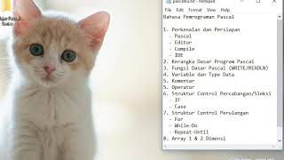 3 Fungsi Dasar (WRITE-READLN) - Pascal
