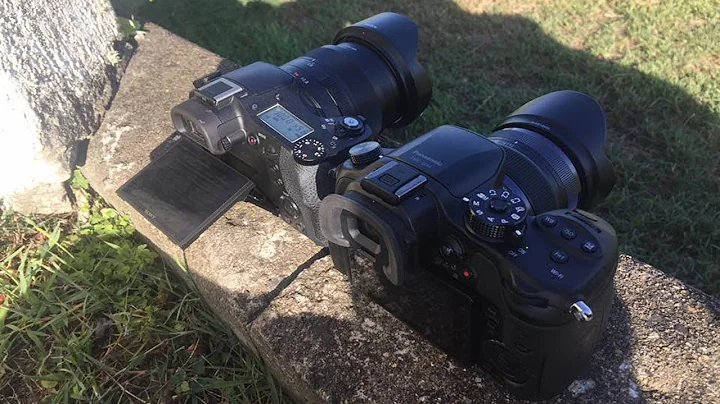 Sony Rx10 M2 Slog-2 vs Panasonic GH4 VLog-L Graded and Ungraded 4K