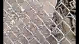 Download Lagu Joe MP3