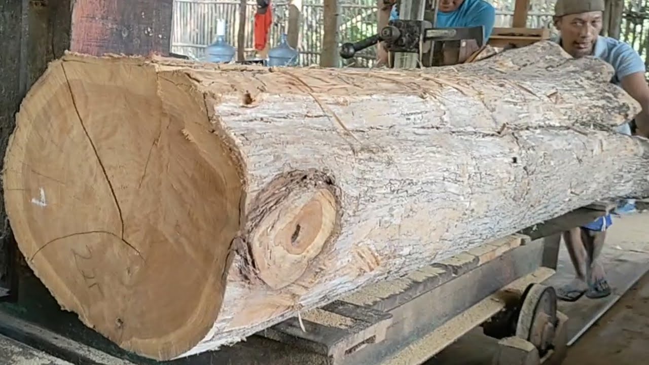 the process of sawing large teak wood to make sheets and blocks - YouTube
