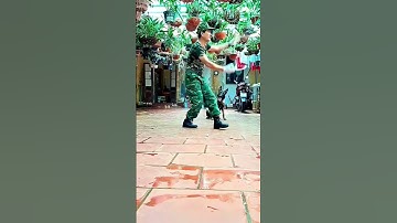 Chó nghiệp vụ. Dog training Viet Nam