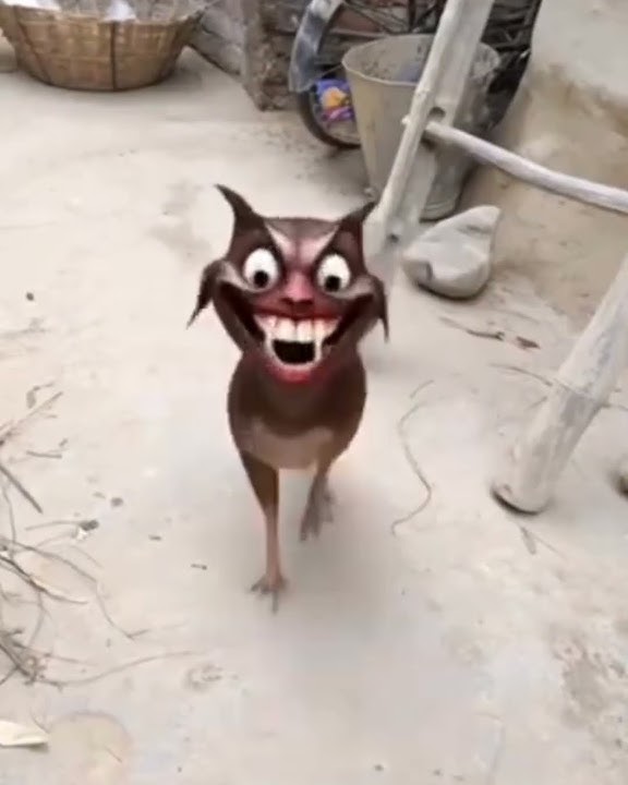 murgi kabhi mat khana#funny #shortvideos 😝Dj Lama