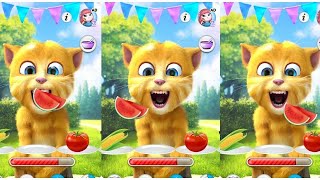 Talking Tom \& Ginger Eating 🐈🐟 🍰🍌🍆🥑🍍🌽🥕🍬🏠🏡🍄🥝🍞🥔🍊🍇 🍉