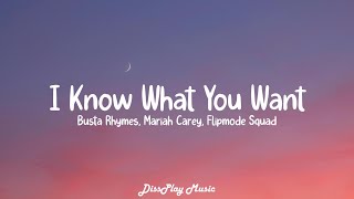 Busta Rhymes ft Mariah Carey ,Flipmode Squad -I Know What You Want (lyrics)