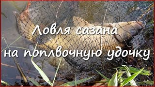 Ловля сазана на поплавочную удочку весной(Видео о ловли сазана весной на поплавочную удочку. Рыбалка получилась интересной, увлекательной и результа..., 2016-06-05T13:01:52.000Z)