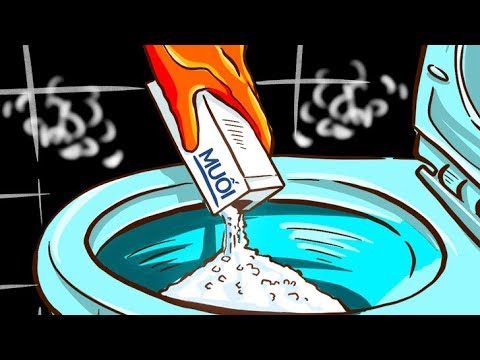 Video Điều gì sẽ xảy ra nếu bạn xả bồn cầu với nước mặn - youtube