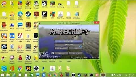 Custom NPC mod showcase