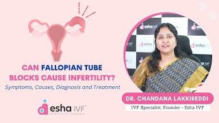 Fallopian Tube Blockage Leads to Infertility? సంతానం కలగ పోవడానికి ఫెలోపియన్ ట్యూబ్ బ్లాక్స్ కారణమా?