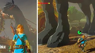 Breath Of The Wild: Giant Horse huuuuuurrrrrr