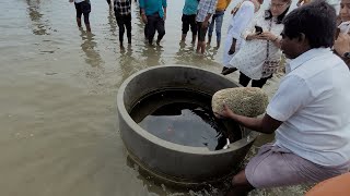 Mystical Floating Stone In Rameshwaram -