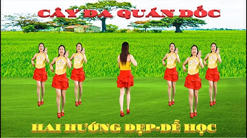 CÂY ĐA QUÁN DỐC/ HAI HƯỚNG ĐẸP-DỄ HỌC-MỚI NHẤT 2023