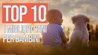 TOP 10 Migliori Cani Per Bambini by Funny Pets 8,260 views 1 year ago 6 minutes, 3 seconds