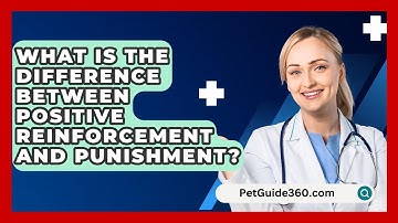 What Is The Difference Between Positive Reinforcement And Punishment? - PetGuide360.com