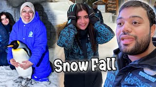 Family Ke Sath Dubai Mein Snow Fall Dekhi 😍 | Aroob Dar Gai 😂 | First Time Penguin Se Mila 😍