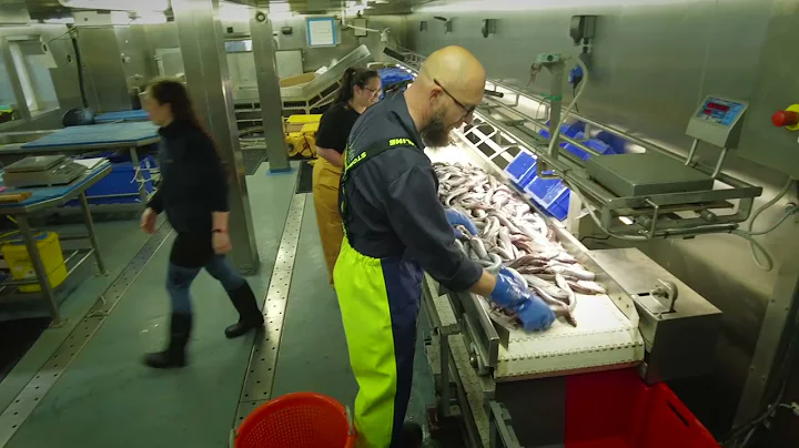 Marine Institutes Blue Whiting Survey