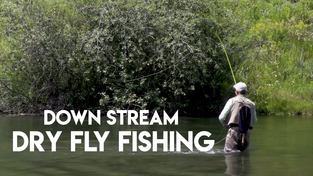 Dry Fly Fishing Down Stream