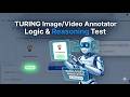 Turing Image/Video Annotator Logic & Reasoning Test