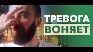 Тревога воняет: Почему со мной не общаются