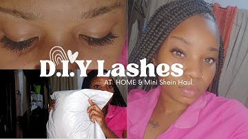 D.I.Y Lashes At Home + SHEIN mini haul || Shanalee Here  #beautyonabudget