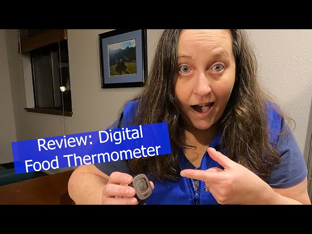 Review: Digital Food Thermometer: OXO Good Grips Chef's Precision Digital  Instant Read Thermometer 