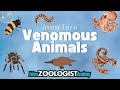 Venomous Animals Trivia Quiz