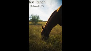 KM 50 Ranch