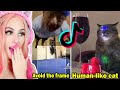 Try Not To Laugh Challenge Using My TIKTOK LIKES...*HARDEST*