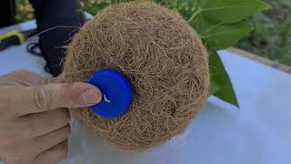 Ideia LINDA com FIBRA de COCO e Faça uma linda KOKEDAMA de Antúrio - Parte 2