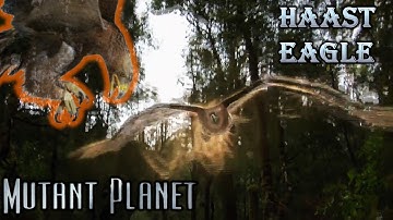 mutant Planet haast eagle screen time