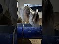 Aquela ração da top para o top!🌙♥️🐎