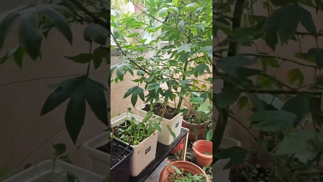 “Big impact. Small space. 