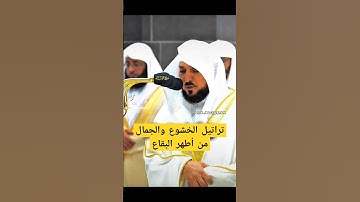 يا ليتني كنت معهم فأفوز فوزا عظيما || ترتيل خاشع وجميل من سورة النساء لفضيلة الشيخ د. ماهر المعيقلي