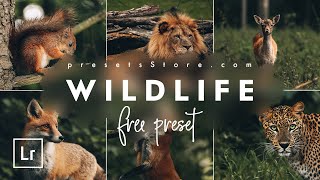 How to Edit Wildlife Preset for Animals — Free Tutorial | DNG | Dark Green Preset Lightroom Mobile screenshot 2