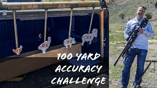 Avenge X COMPETITION BUILD VS Silhouettes at 100 YARDS?!
