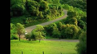 K-Fee Car Commercial Without Jumpscare Pal Pitched