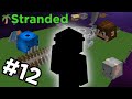 We finally got this NPC... | Hypixel Skyblock Stranded #12