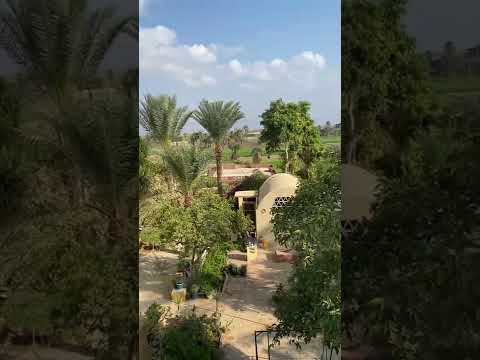  قرية تونس الفيوم 