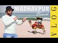 Madhavpur beach near porbandar  the most beautiful beach in gujarat