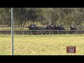 View race 6 video for 2026-05-04