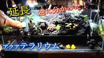 アクアテラリウム Youtube アクアテラリウム Youtube