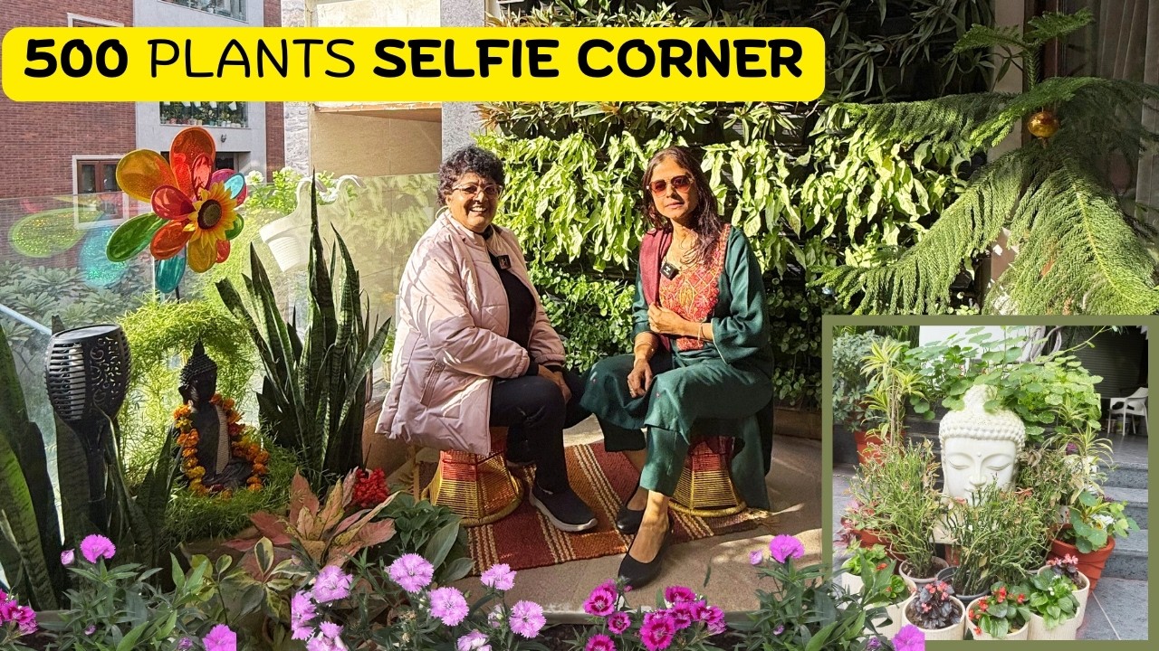 Jannat यही है , The  most beautiful vertical wall ( 500+ Plants)