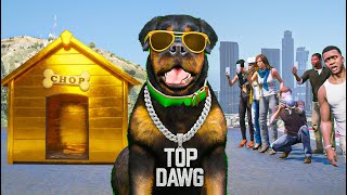 Gta 5 - Chop Become The Most Famous Dog In Los Santos
