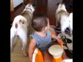倅