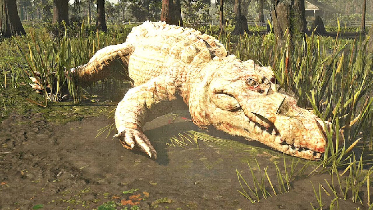 Легендарный крокодил. РДР 2 легендарный Аллигатор. Легендарный крокодил в РДР 2.