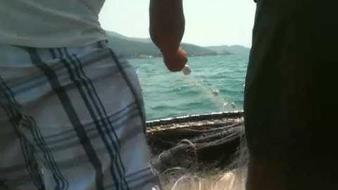 Đi kéo lưới trên biển Sơn Trà