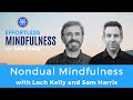 Nondual mindfulness with sam harris  loch kelly